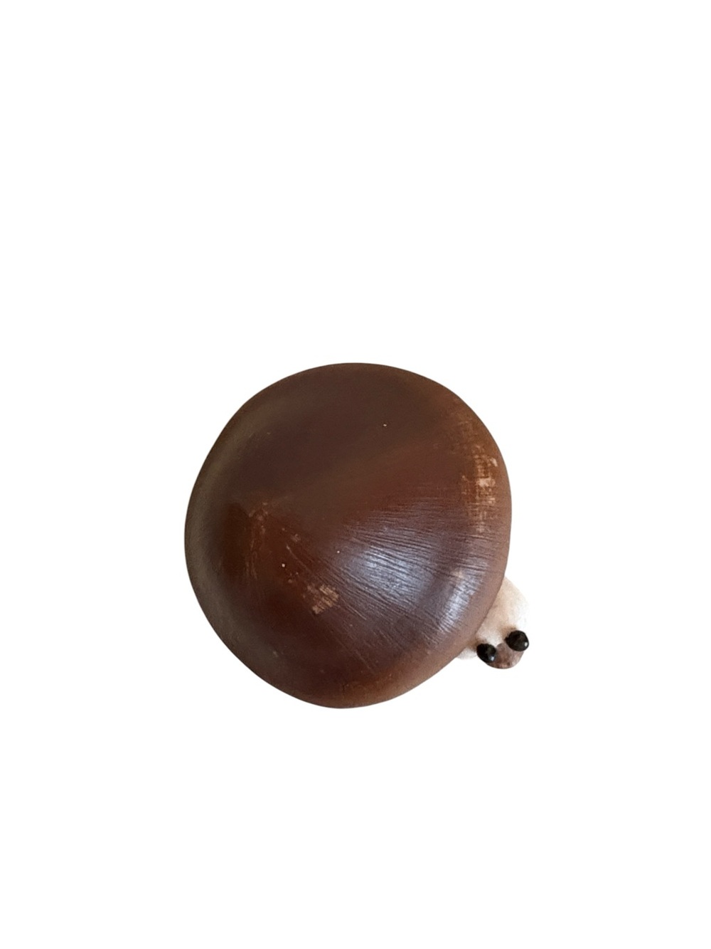 Vintage Enesco Home Grown Mushroom Snail Figurine 2005 Resin - Picture 6 of 6